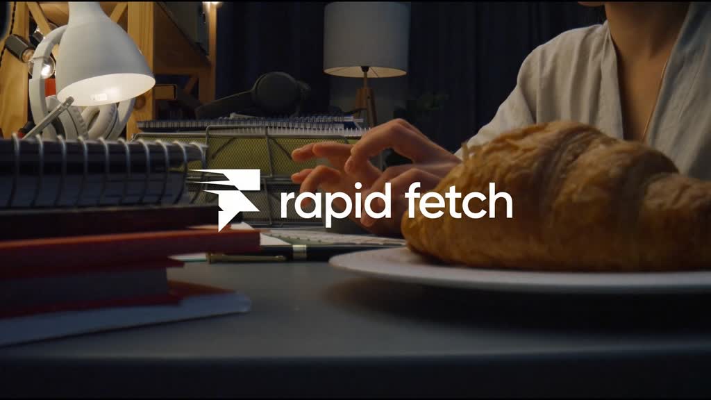 RapidFetch demo preview